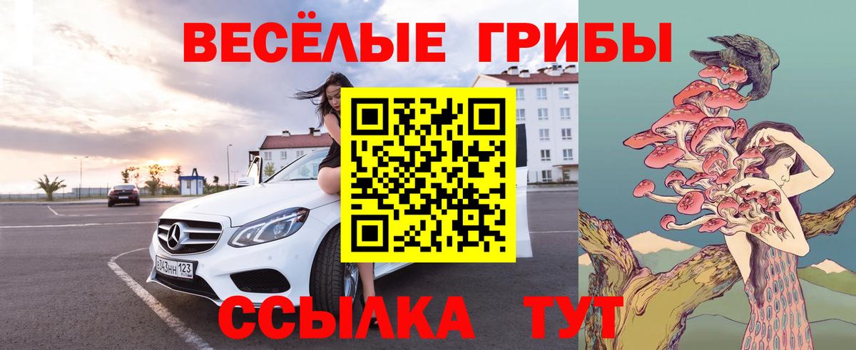 Невинномысск  Псилоцибиновые грибы Psilocybine cubensis  где продают   Вход с VPN 