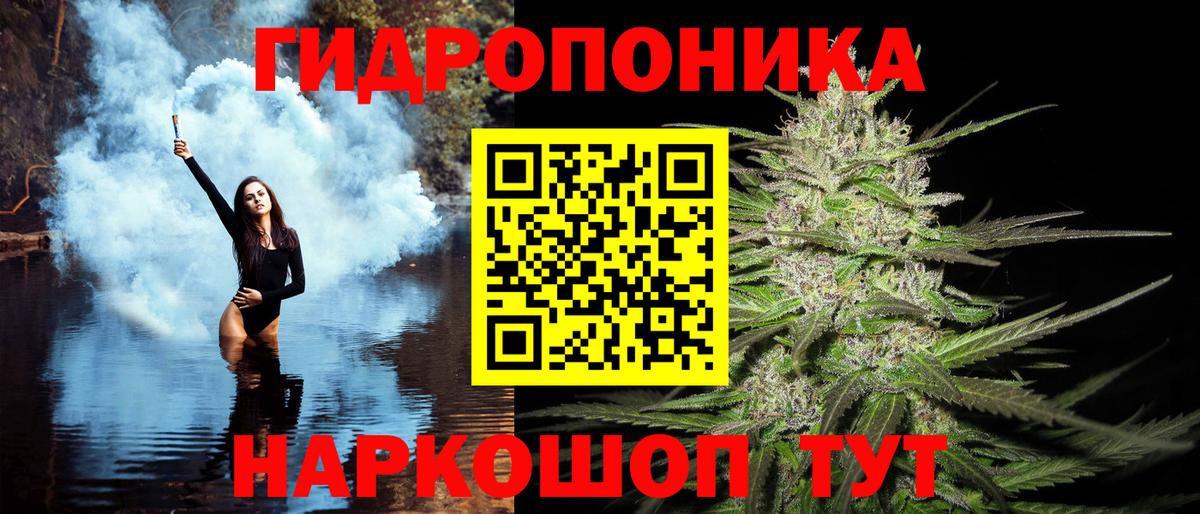 Конопля конопля  Вход с VPN  Конопля Bruce Banner  Марихуана Amnesia  Невинномысск 